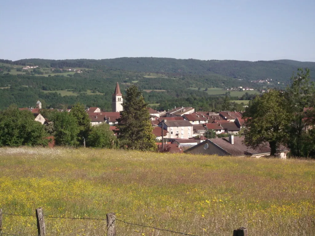 Couvreur Arinthod Couvreur Arinthod