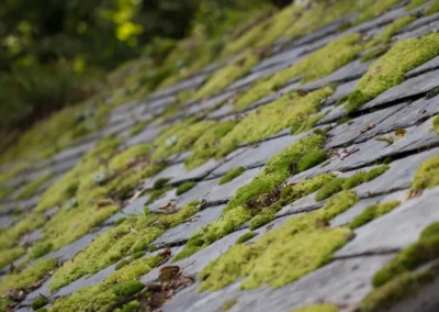 Entretien toiture ardoise Jura