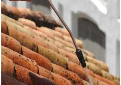 Demoussage traitement toiture